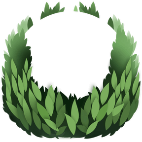 bush camper