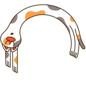 cat 3