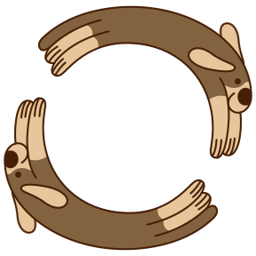 dog 3