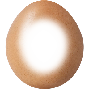 egg