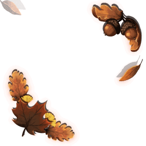 fall leaves