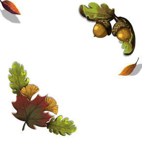 fall leaves woodland