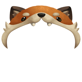 fox hat
