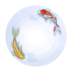 koi pond