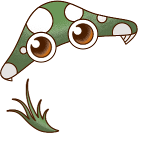 mushroom 1