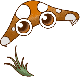 mushroom 2