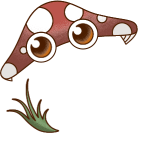 mushroom 3