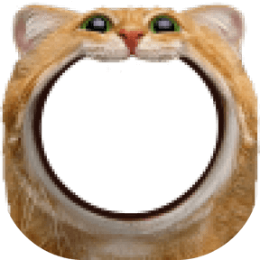 nom kitty