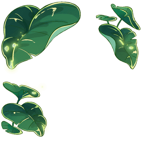rainy canopy