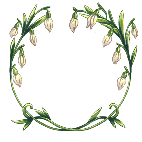 snowdrops