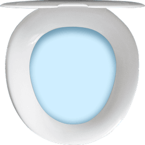 toilet lid