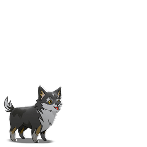 torgal puppy